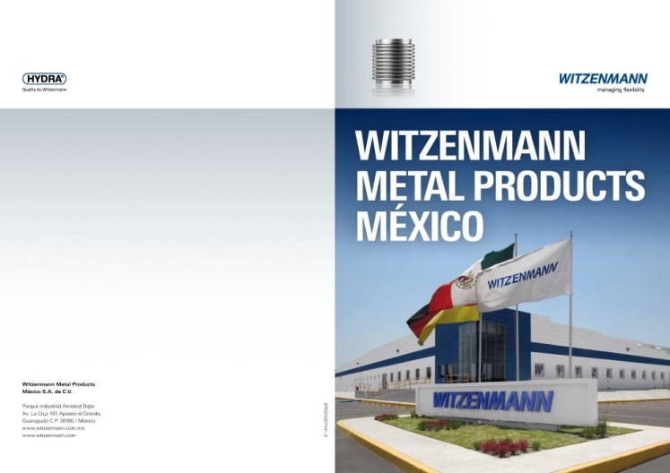Witzenmann Metal Products México_preview